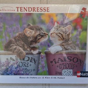 Nathan - Bisous de chatons - NIEUW