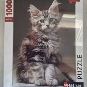 Nathan - Le Chaton Maine Coon - NIEUW