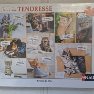 Nathan - Bétises de Chat - NIEUW
