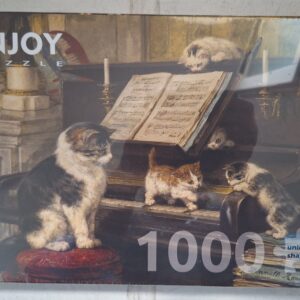 Enjoy - The Piano Lesson - NIEUW