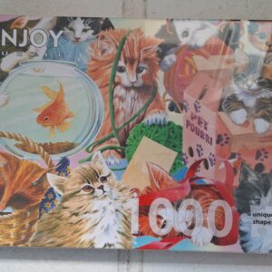 Enjoy - Curious Cats - NIEUW