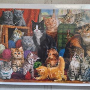 Trefl - Feline Meeting - NIEUW