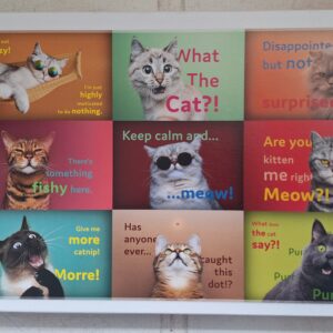 Trefl - Funny Cats Faces