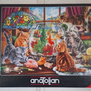 Anatolian - Kittens and Aquarium