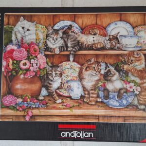 Anatolian - Kittens